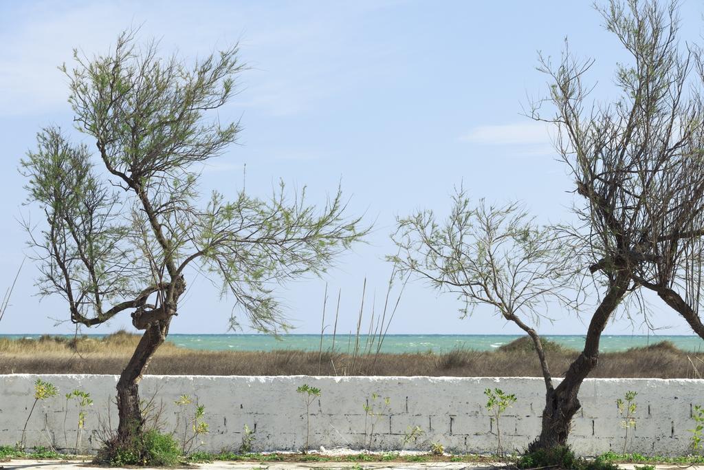 Spiaggiabella Beach Hotel Del Silenzio By Ria Hotels Torre Rinalda Exterior foto