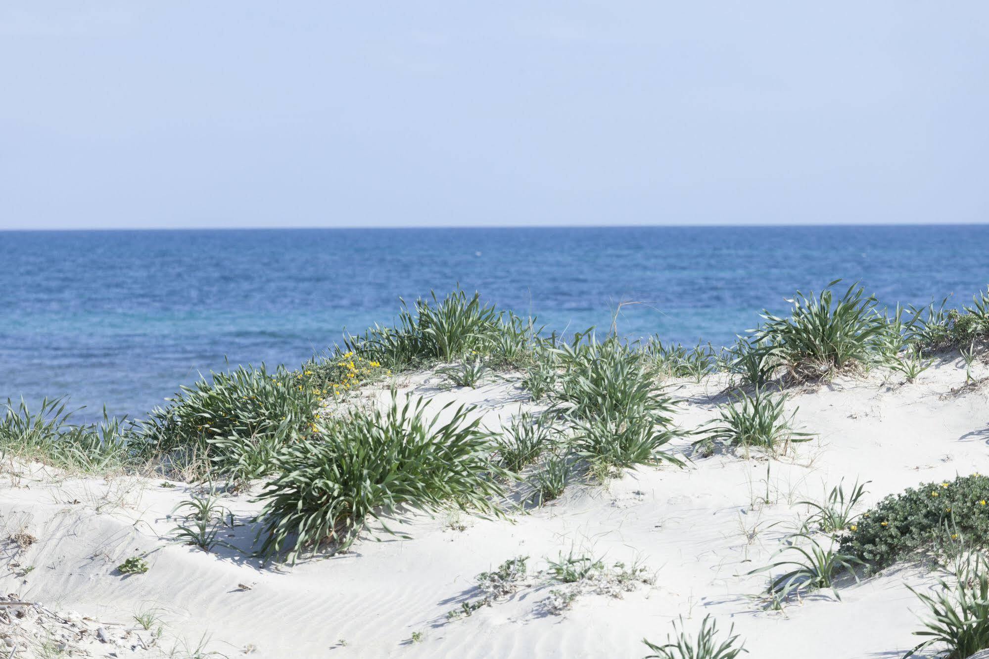 Spiaggiabella Beach Hotel Del Silenzio By Ria Hotels Torre Rinalda Exterior foto